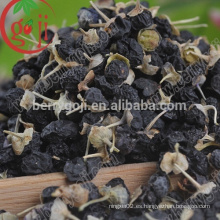 Berry orgánico Goji negro con alta antocianidina